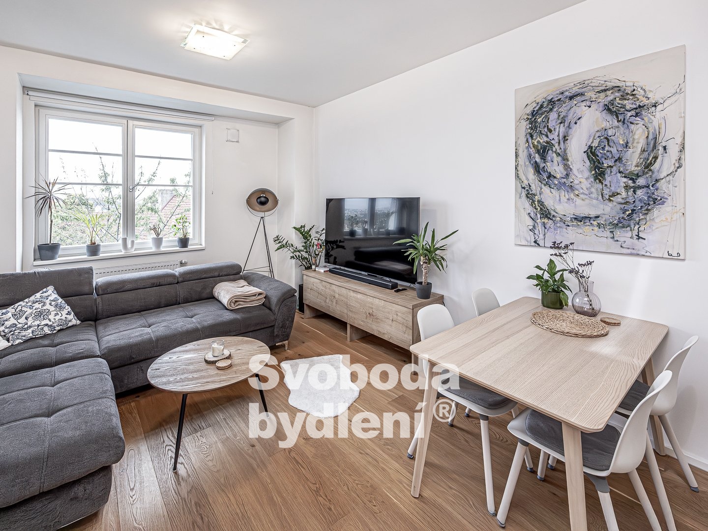 Fotku se nepodařilo načíst.