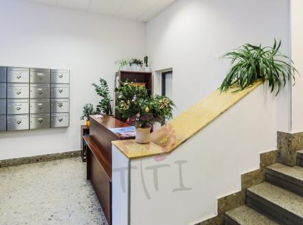 Pronájem kanceláře, 56 m²