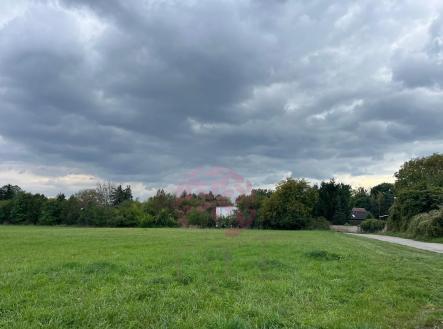 Prodej pozemku pro bydlení, 6 974 m²