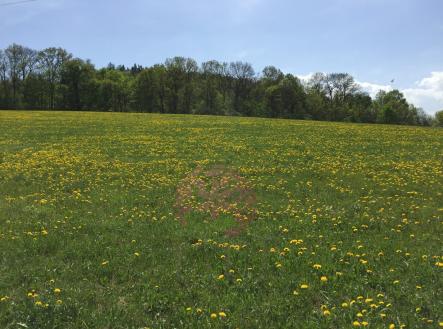 Prodej pozemku pro bydlení, 6 867 m²