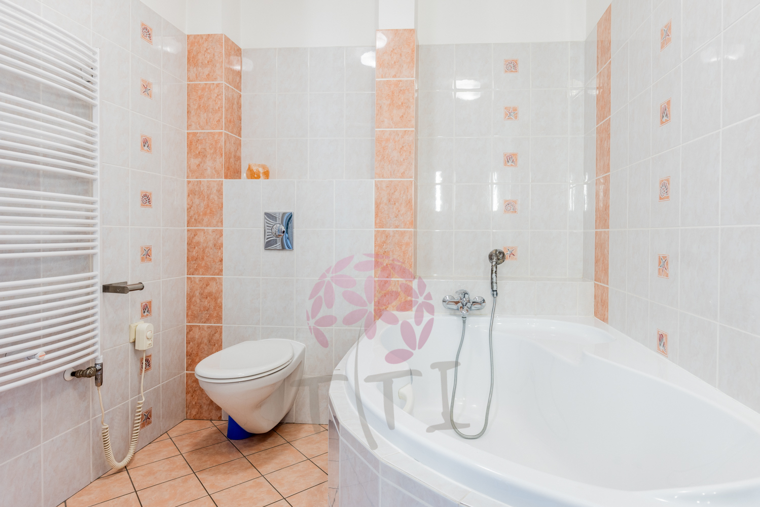 Fotku se nepodařilo načíst.