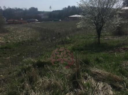 Prodej pozemku pro bydlení, 24 043 m²