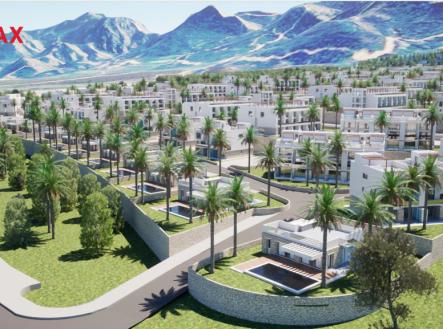 Orchid Casel de Paradise.