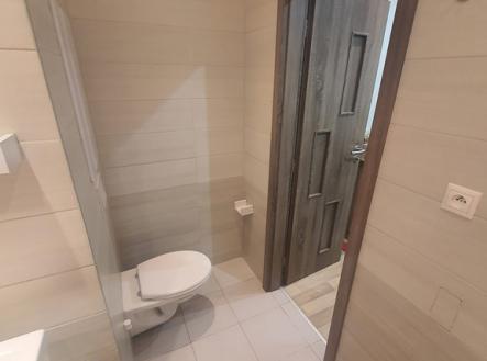 Pronájem bytu, 2+1, 52 m²