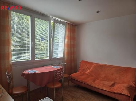 Pronájem bytu, 1+1, 46 m²