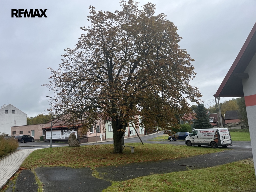 foto-6.jpg