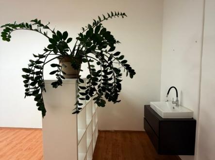 Pronájem kanceláře, 24 m²