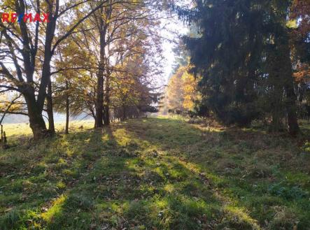 Prodej pozemku, trvalý travní porost, 20 332 m²