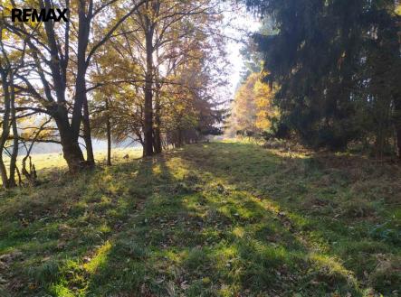 Prodej pozemku, trvalý travní porost, 20 332 m²