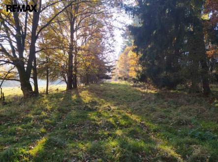 Prodej pozemku, trvalý travní porost, 20 332 m²