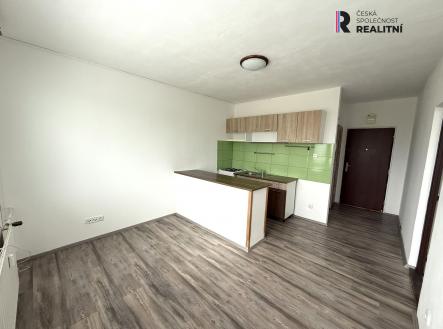 Pronájem bytu, 1+1, 40 m² obrázek