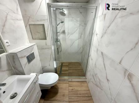 Pronájem bytu, 1+kk, 21 m²