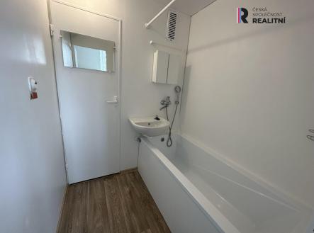 Pronájem bytu, 1+1, 41 m²