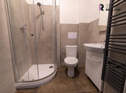 Pronájem bytu, 1+1, 42 m²