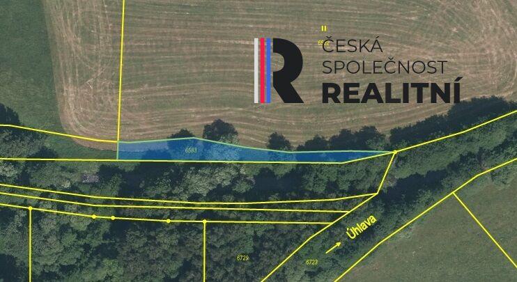 Prodej pozemku 11 230 m² Pocinovice