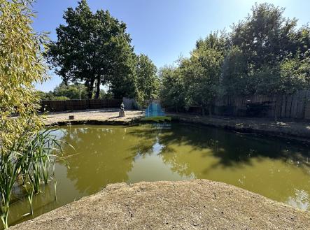 Prodej pozemku pro bydlení, 1 217 m²