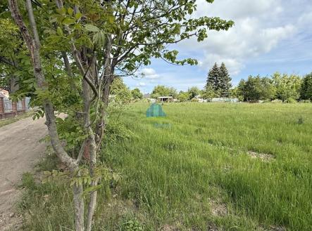 Prodej pozemku, zahrada, 1 302 m²