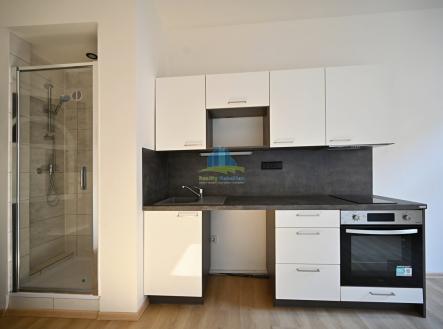 Pronájem bytu, 1+kk, 18 m²