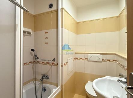 Pronájem bytu, 1+1, 35 m²