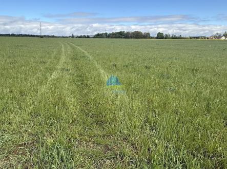 Prodej pozemku, zemědělská půda, 584 m²