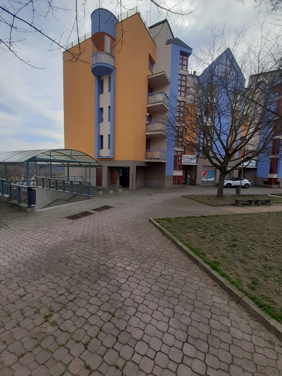 20230323-140410.jpg