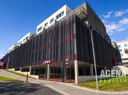 Pronájem bytu, 1+kk, 54 m²