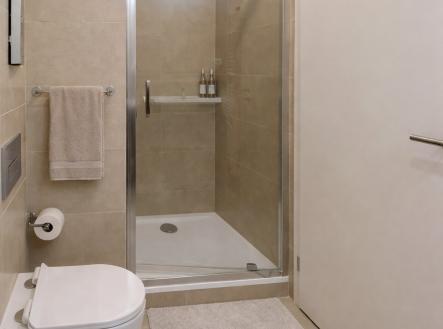 Pronájem bytu, 1+kk, 54 m²