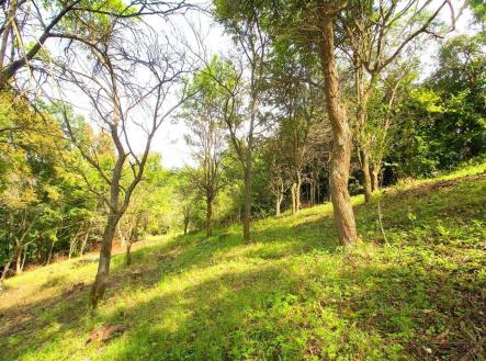 Prodej pozemku, zahrada, 2 406 m²