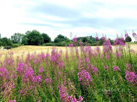 Prodej pozemku pro bydlení, 977 m²