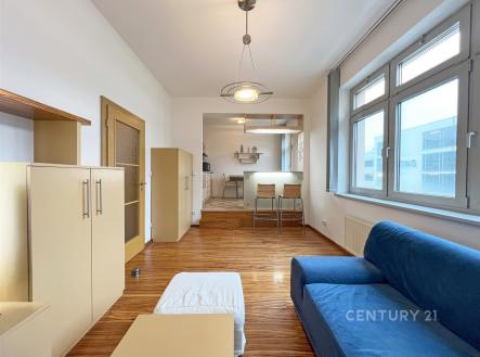 Pronájem bytu, garsoniéra, 39 m²