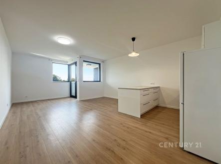 Pronájem bytu, 1+kk, 41 m²