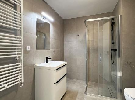 Pronájem bytu, 1+kk, 41 m²