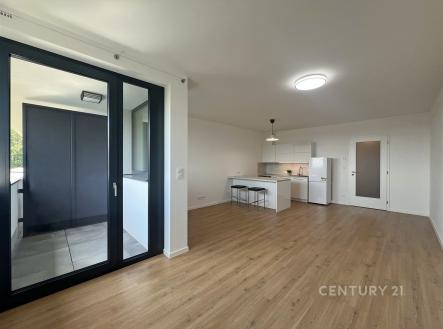 Pronájem bytu, 1+kk, 41 m²