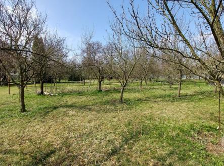 Prodej pozemku pro bydlení, 1 334 m²