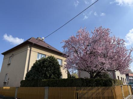 Prodej domu/vily, 429 m²