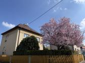 Prodej domu/vily, 429 m²