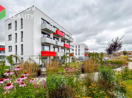 Pronájem bytu, 2+kk, 557 m²