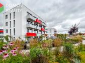 Pronájem bytu, 2+kk, 557 m²