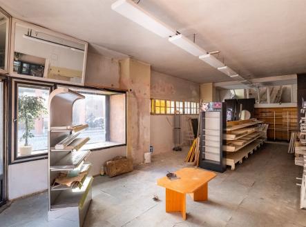 Prodej domu/vily, 465 m²