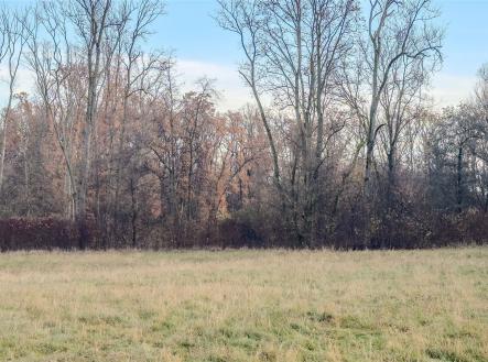 Prodej pozemku, zemědělská půda, 76 028 m²