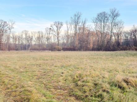 Prodej pozemku, zemědělská půda, 76 028 m²