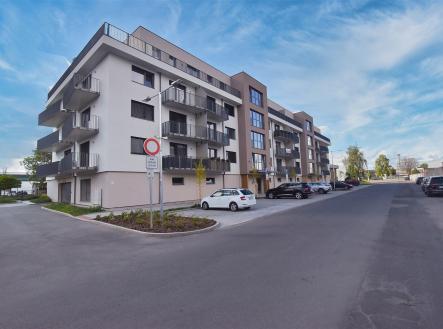 Pronájem bytu, 1+kk, 55 m² obrázek