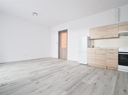 Pronájem bytu, 1+kk, 55 m²