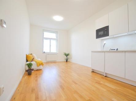 Pronájem bytu, 1+kk, 28 m²