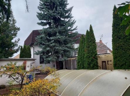 Prodej domu/vily, 320 m²