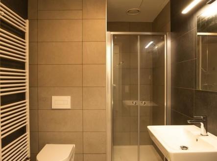 Pronájem bytu, 1+kk, 45 m²