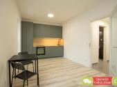 Pronájem bytu, 1+kk, 45 m²