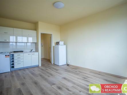 Pronájem bytu, 1+kk, 24 m² obrázek