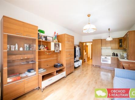 Prodej bytu, 1+kk, 33 m²