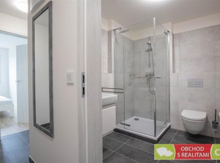 Pronájem bytu, 2+kk, 54 m²